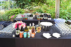 LOVE IN BLOOM AT WISTERIA HALL